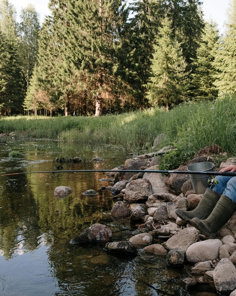 Fishing on Rocky Forest River Bank