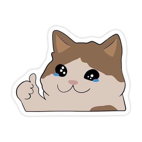 Crying Cat Thumbs Up Meme Sticker