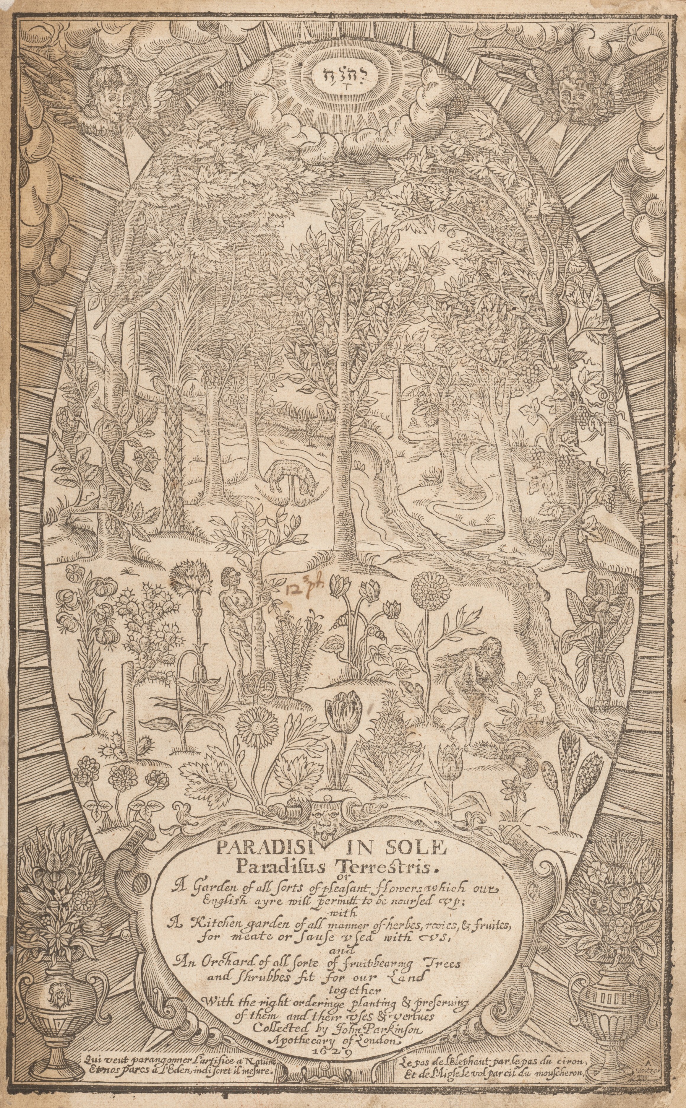 1629 Paradisi in Sole Woodcut Frontispiece