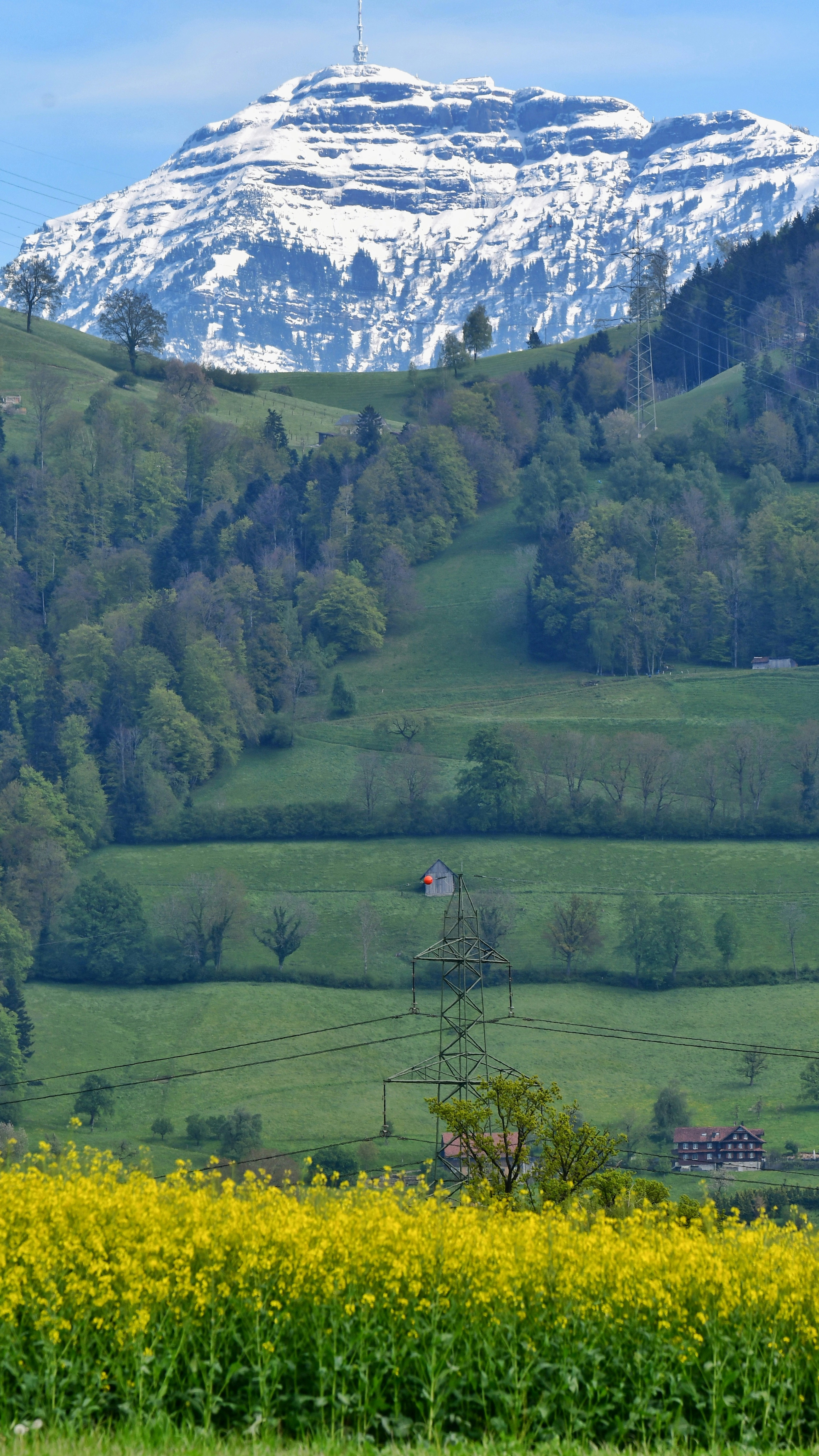 Image 1544062 — Nature