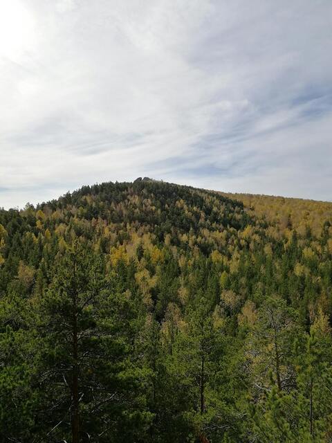 Autumn Mountain Forest Landscape
