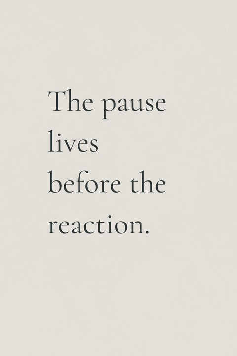 Quote About Pausing Before Reaction