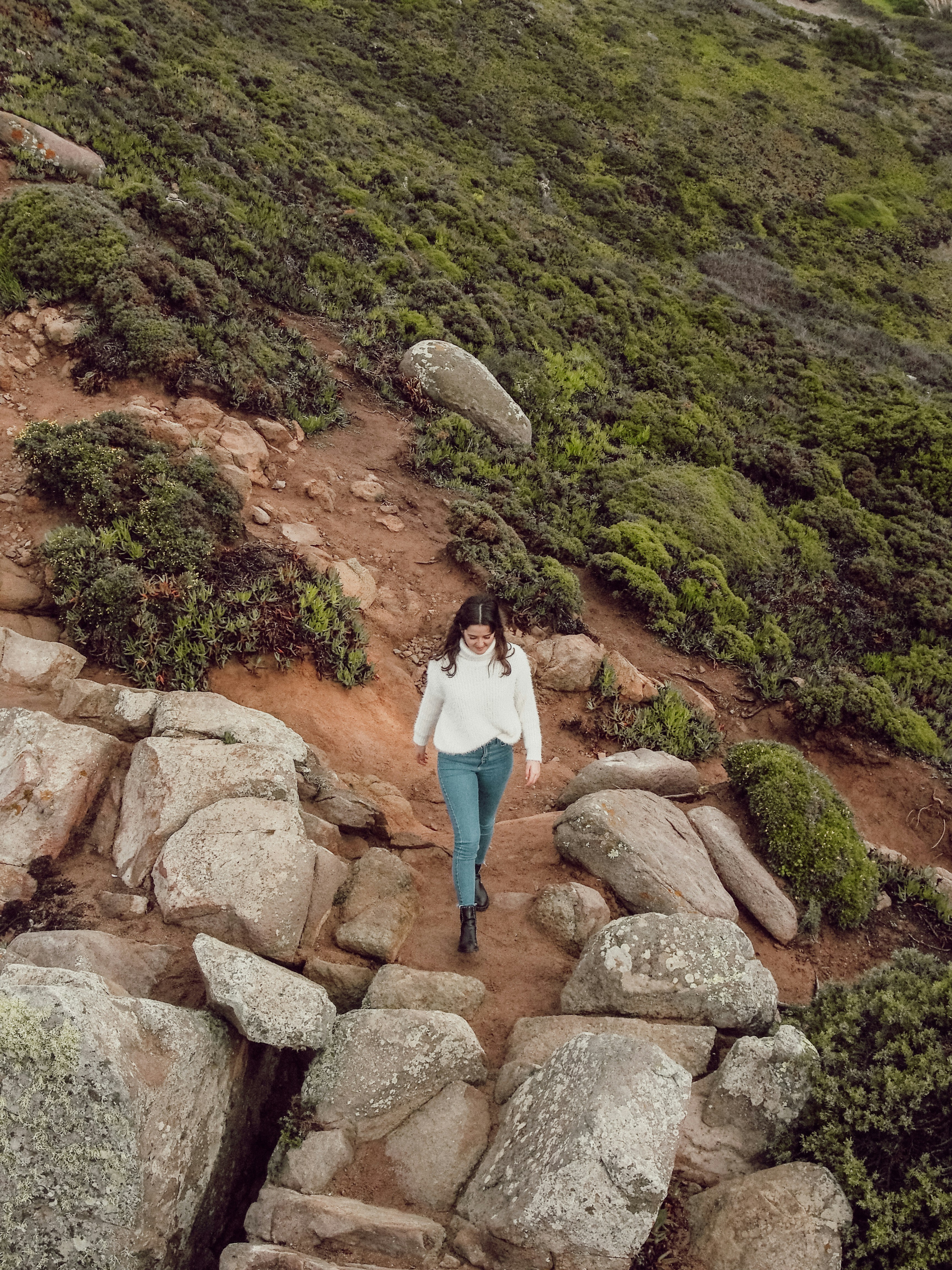 Forest & Flora