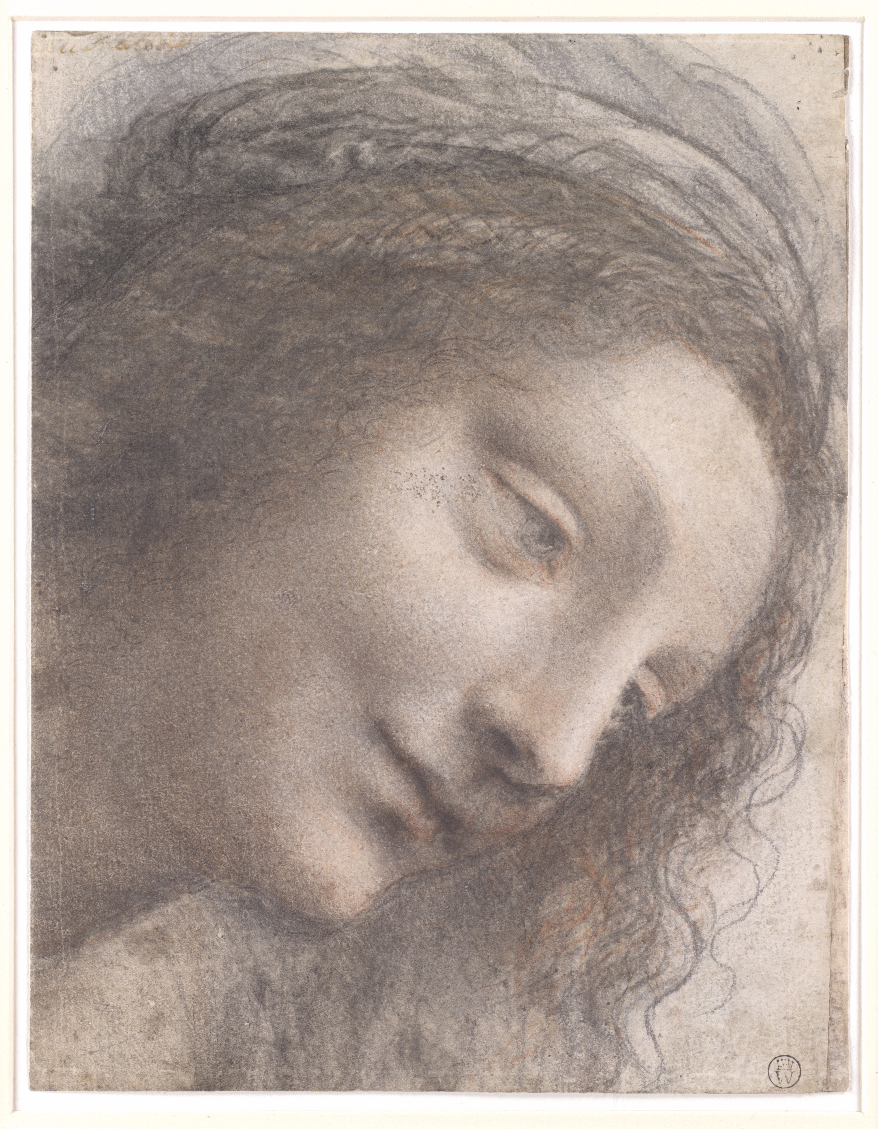 Sketch of a Woman's Head
