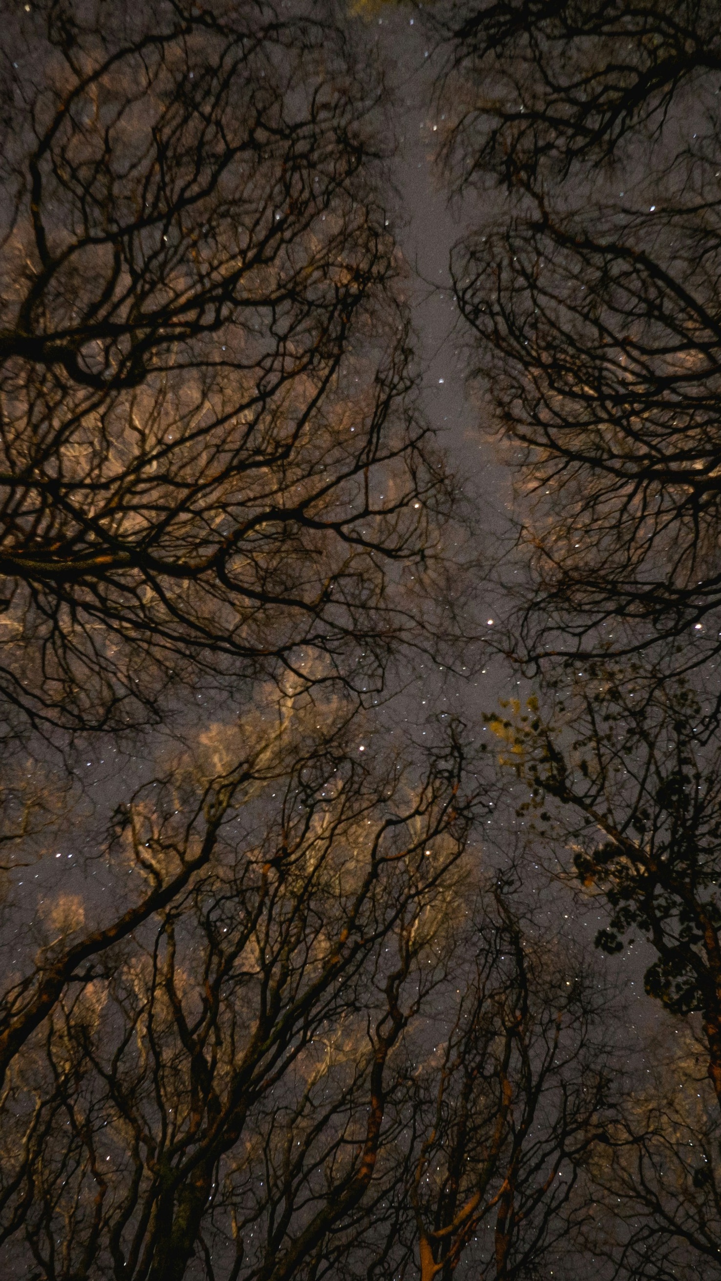 Image 1521659 — Scenery Wallpapers