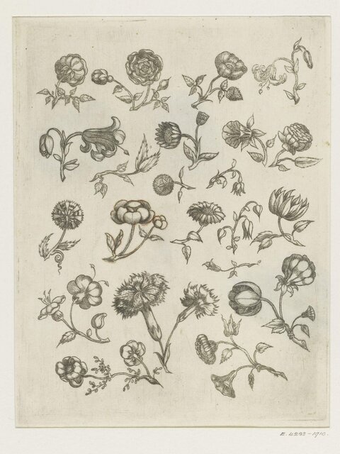 Collection of Flower Sketches