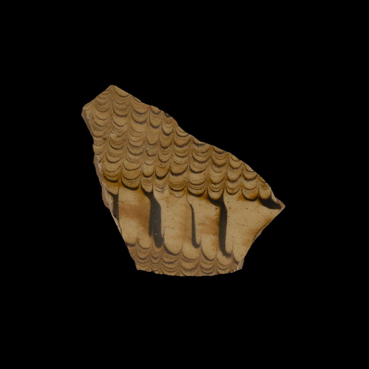 Scaly Patterned Stone Fragment