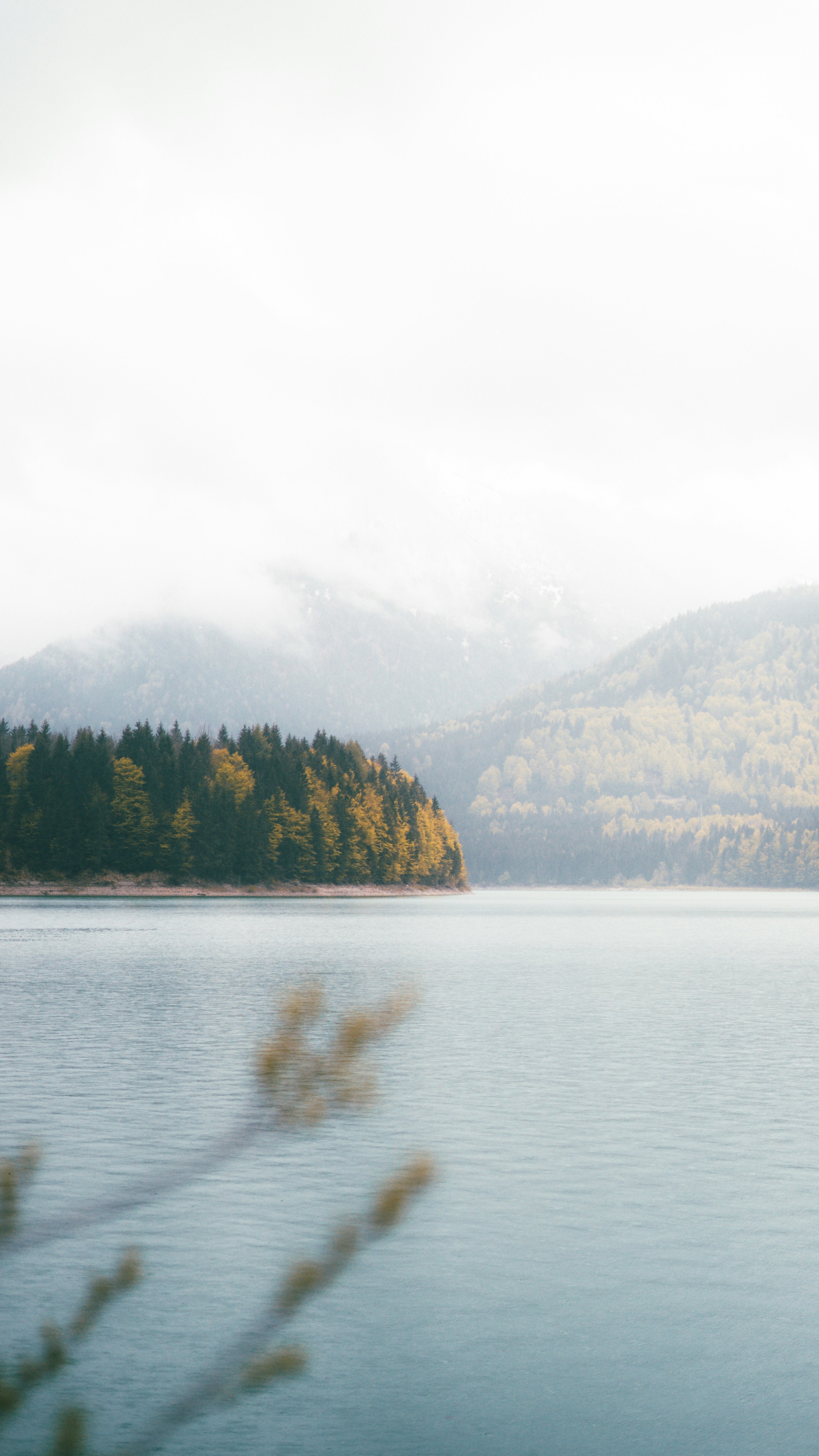 Landscapes