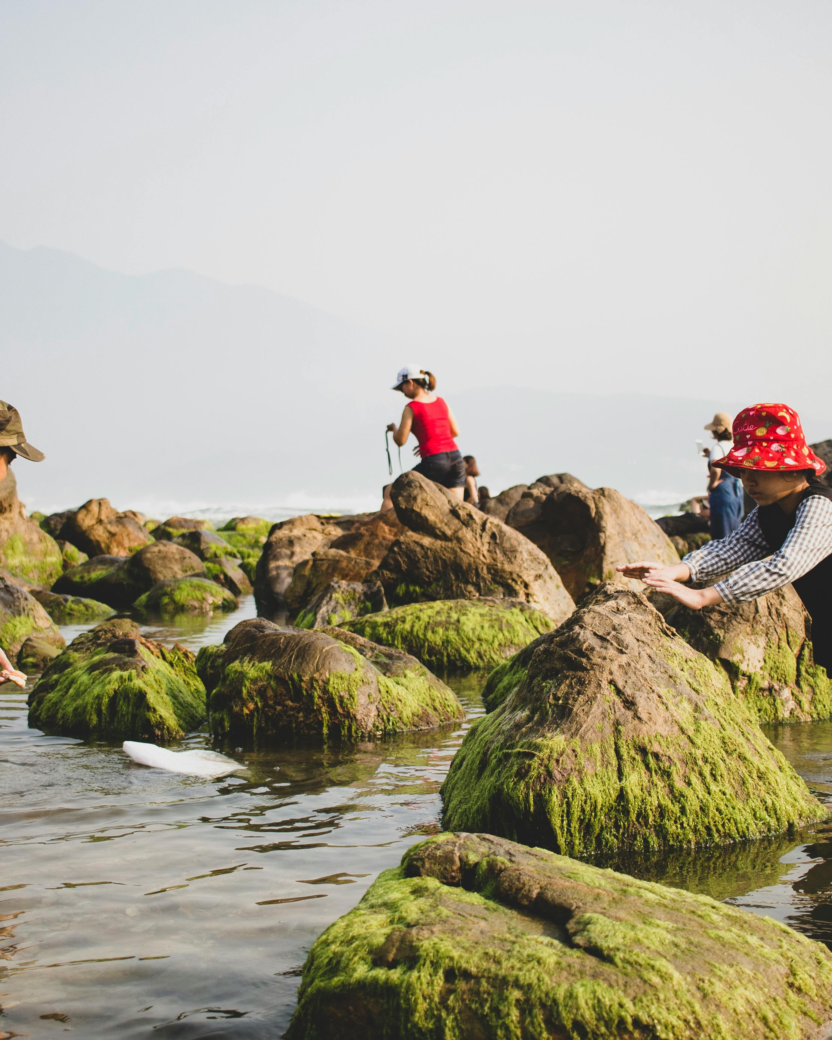 Visitors Exploring Rocky Coastal Shore