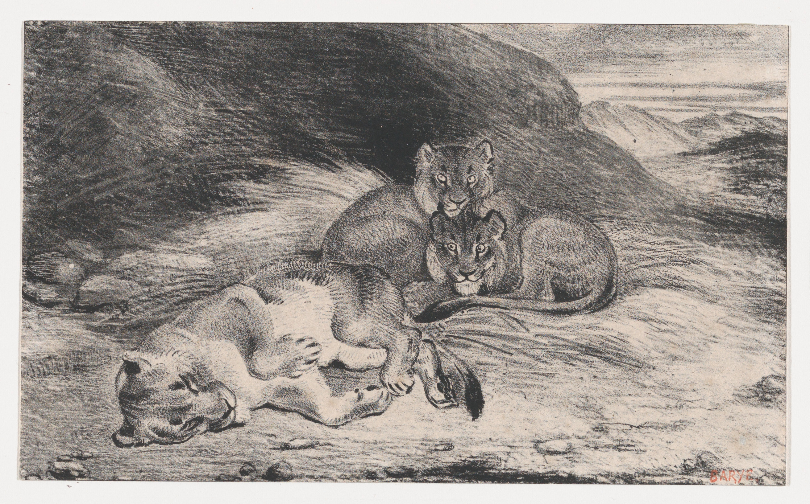 Three Resting Lions Sketch