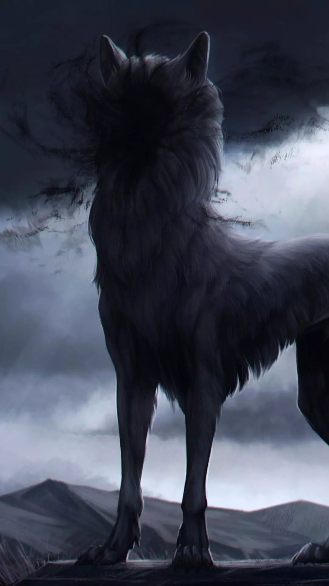 Wallpapers