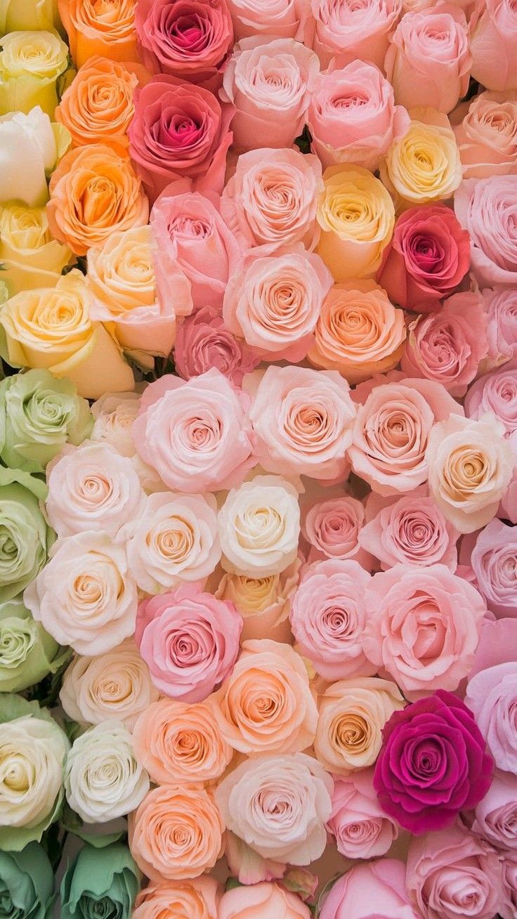 Wallpapers
