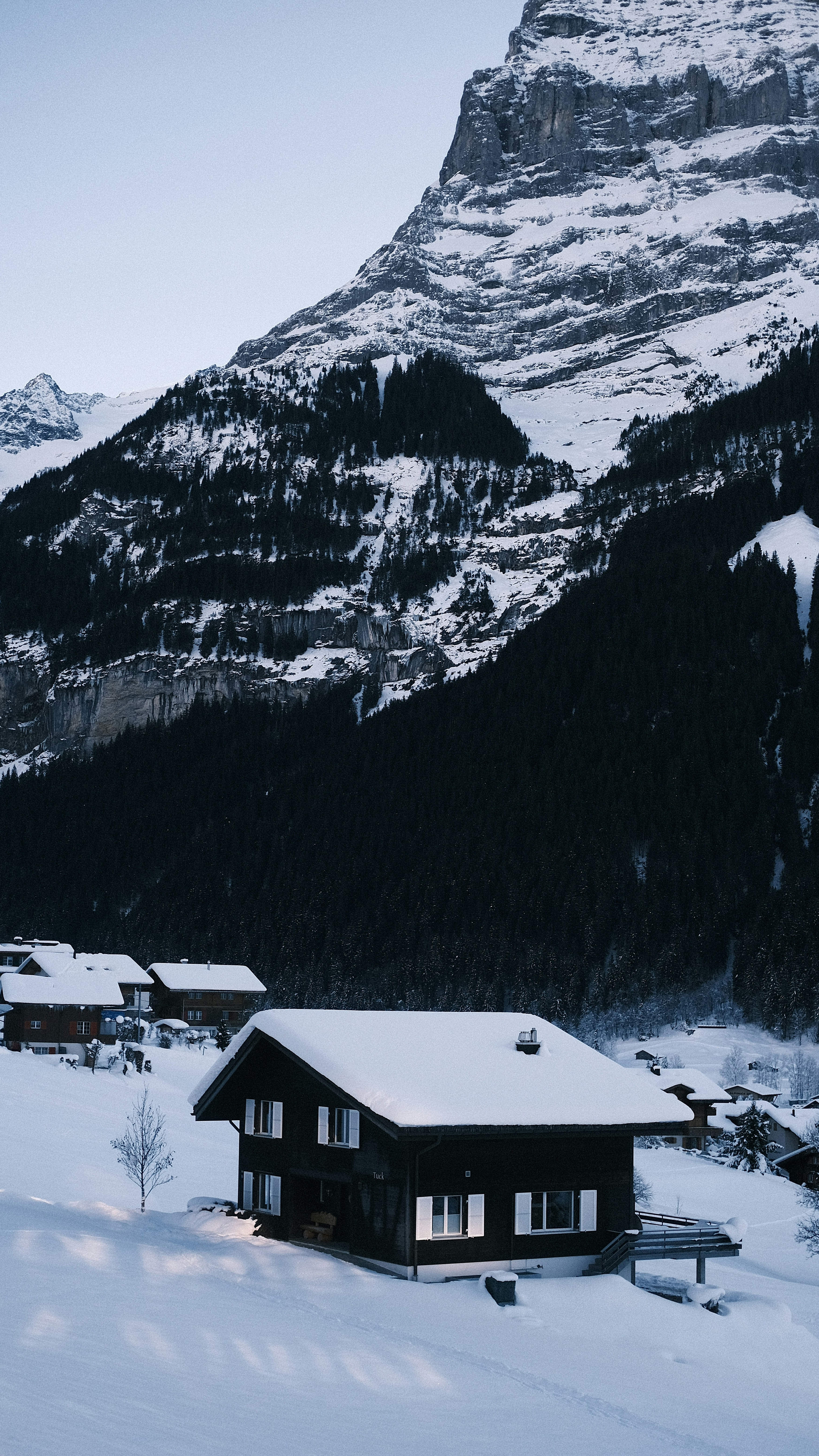 Wallpapers