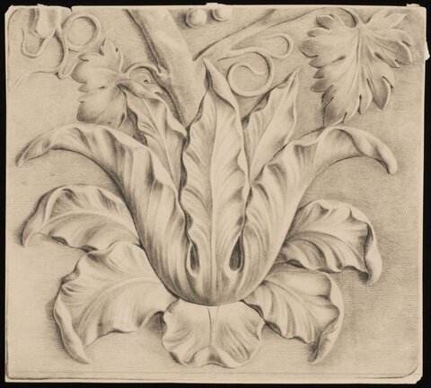 Pencil Sketch of Carved Leaf Ornament
