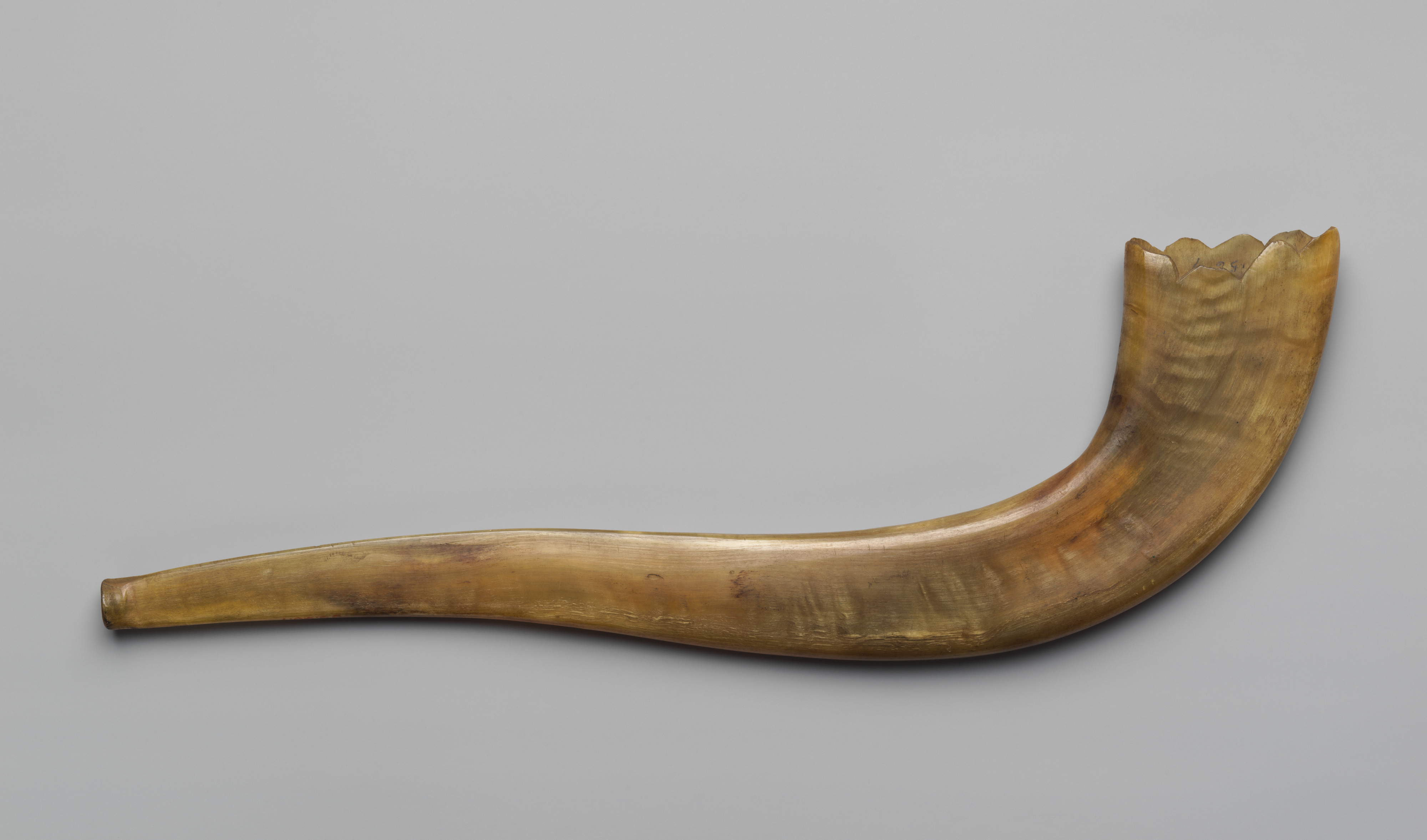 Polished Ram's Horn Shofar