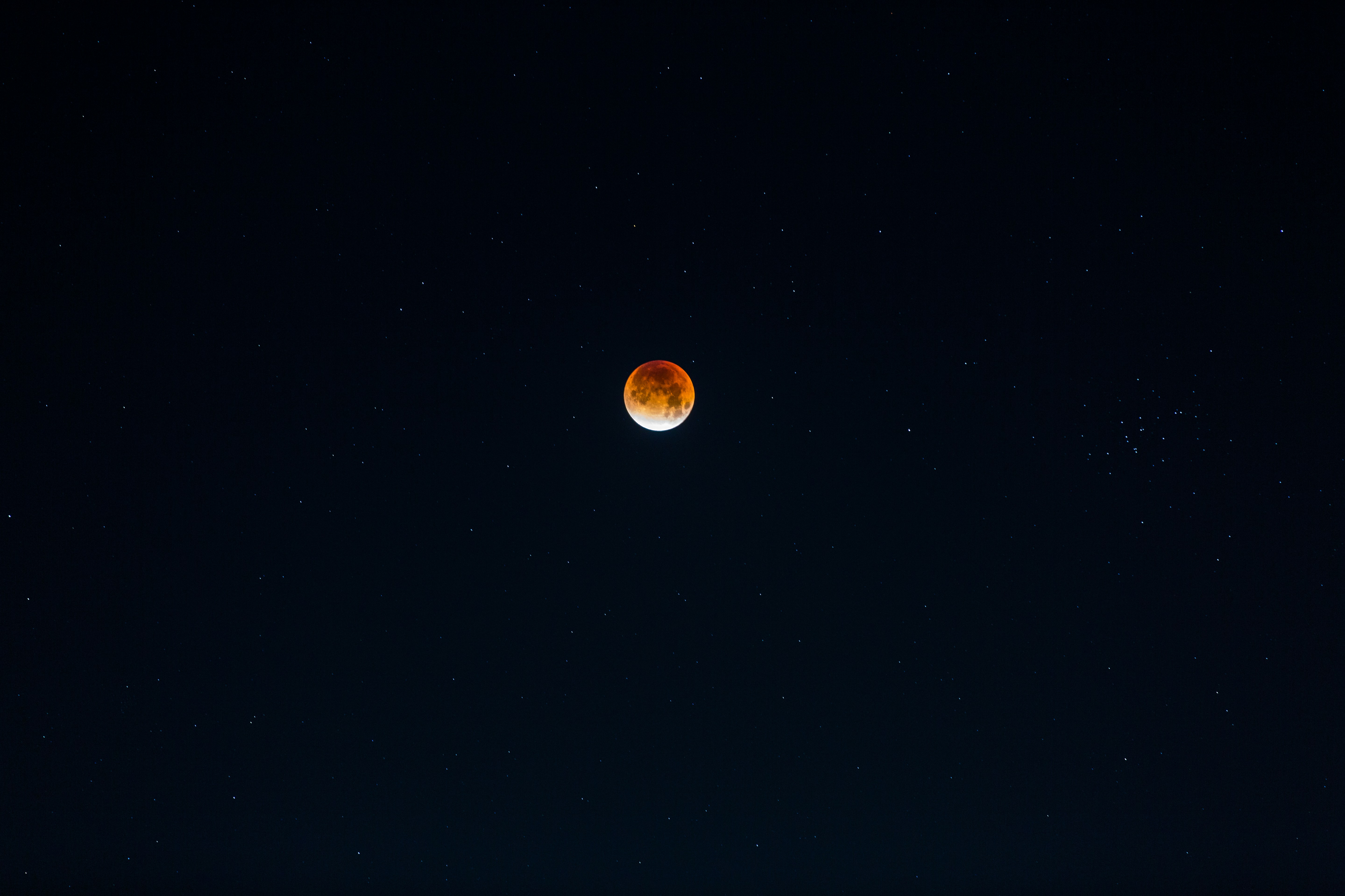 Blood Moon in Night Sky