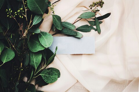 Eucalyptus Leaves on Beige Silk