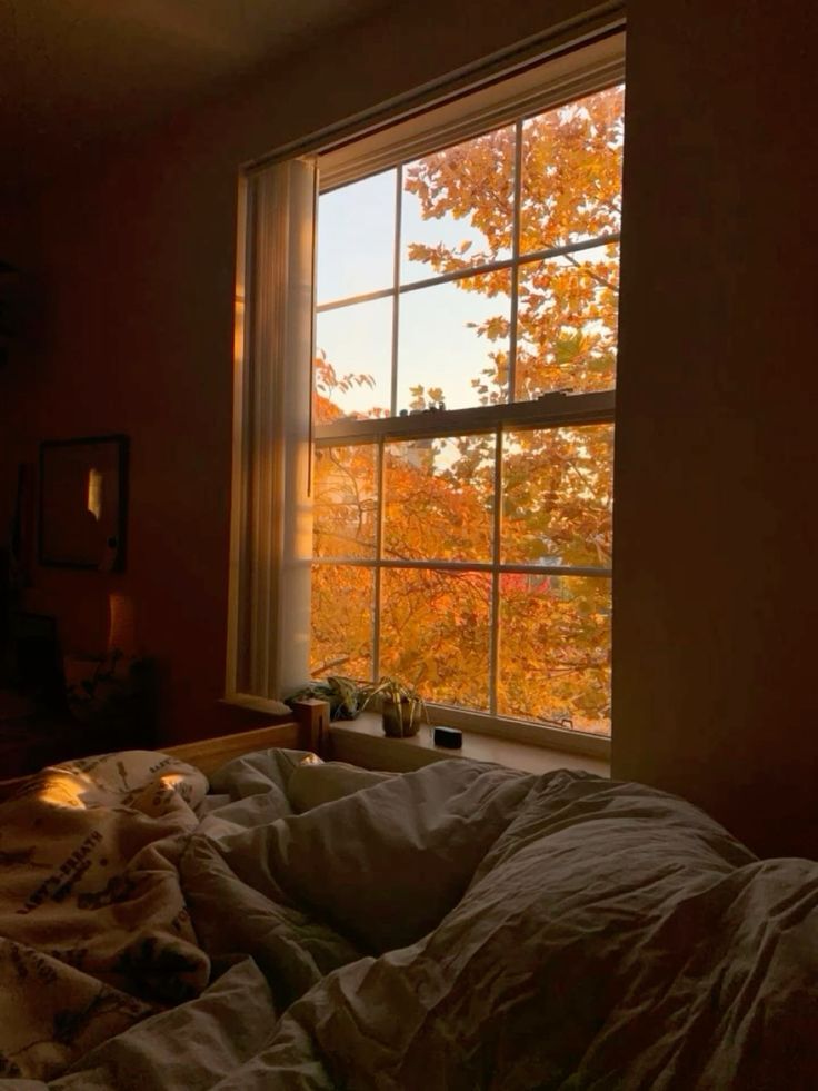 Image 71249 — Nature