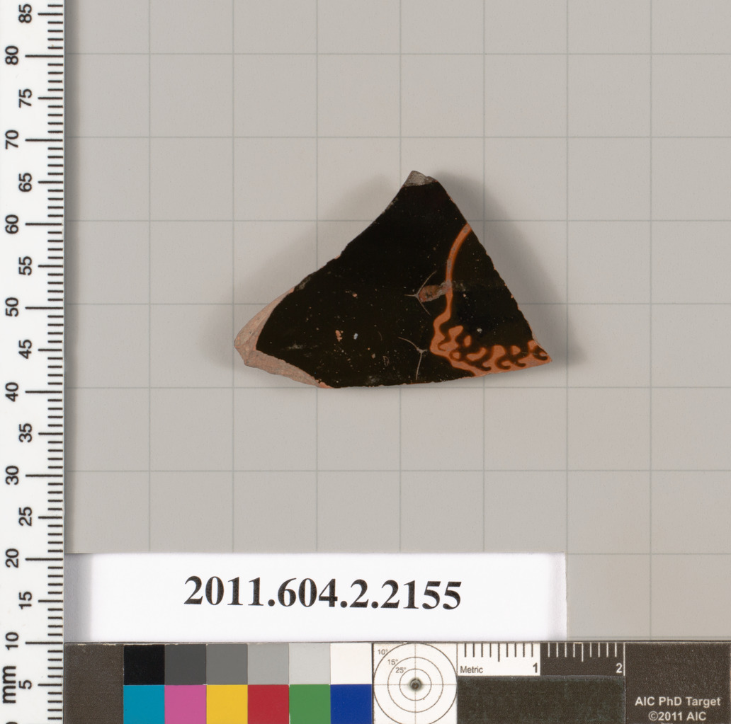 Ancient Terracotta Pottery Fragment