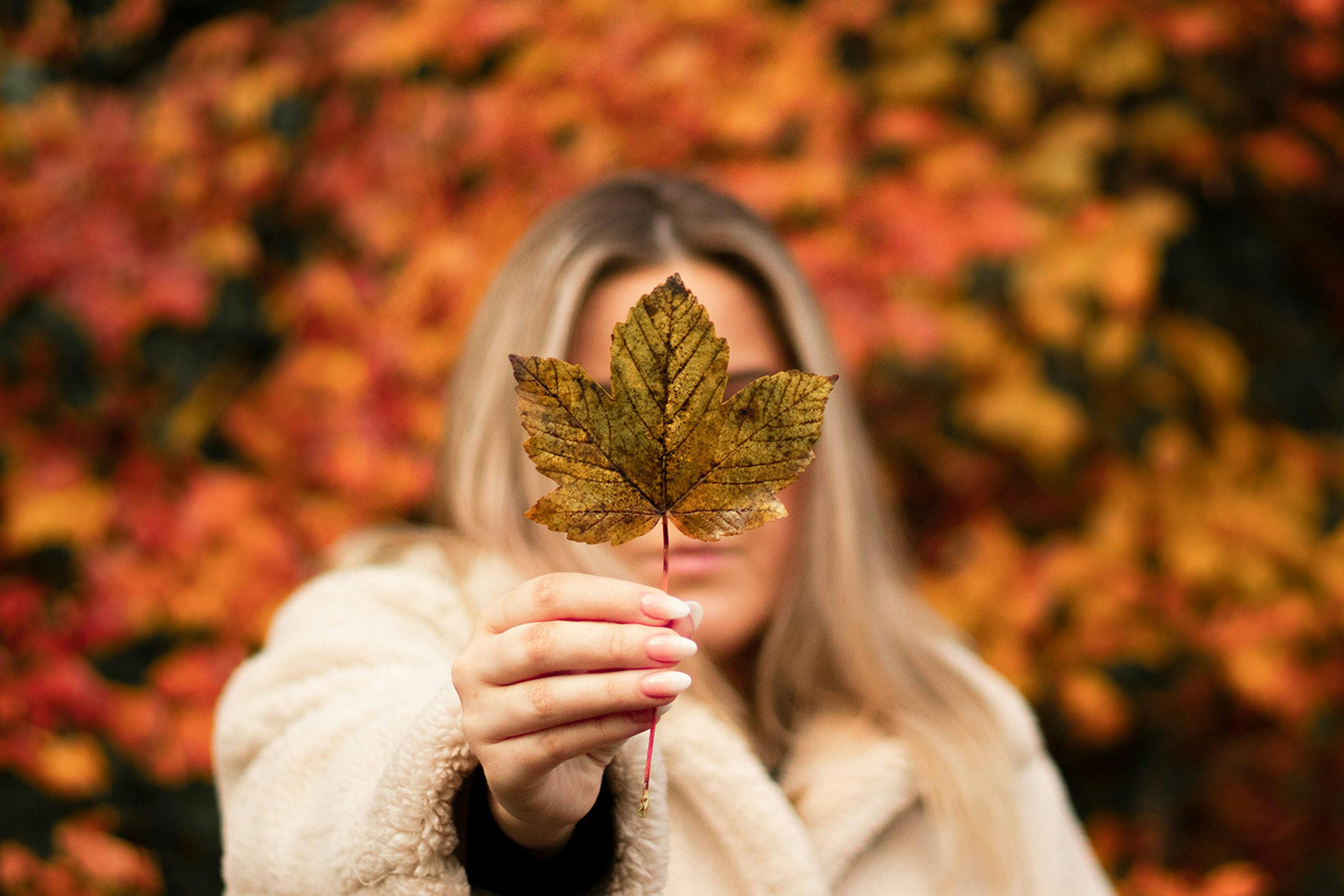 Woman Holding Autumn Maple Leaf
