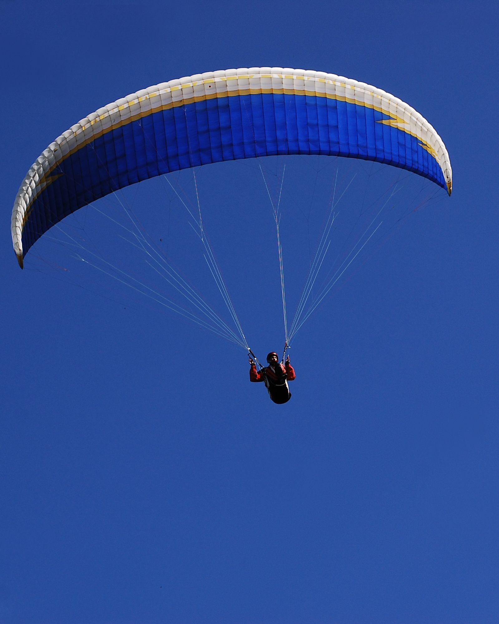 Image 1625753 — Sports