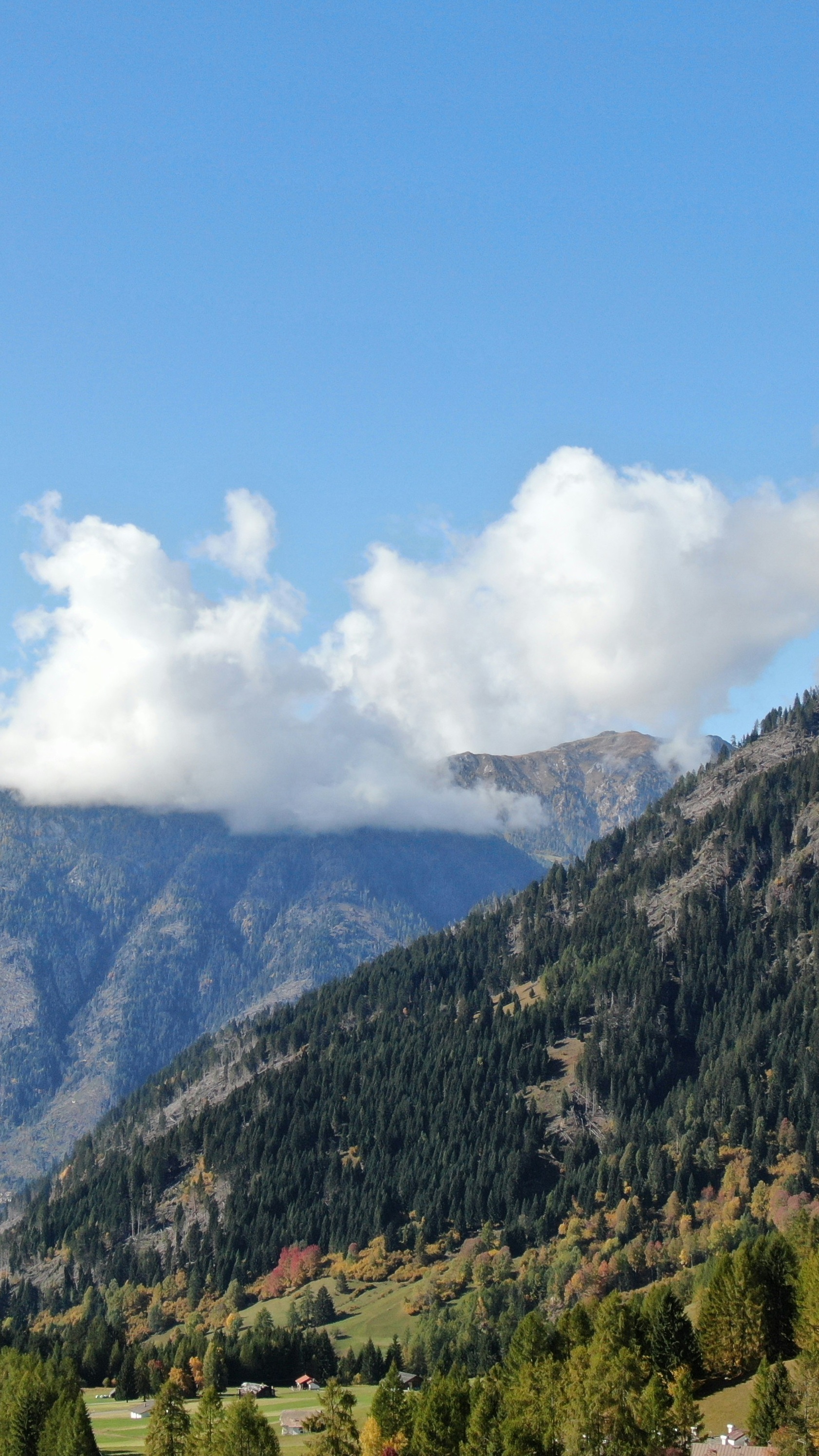 Autumn Mountain Valley Landscape