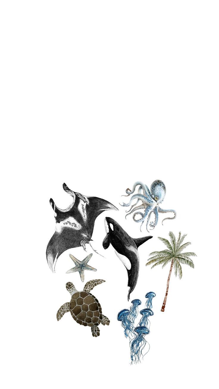 Wallpapers