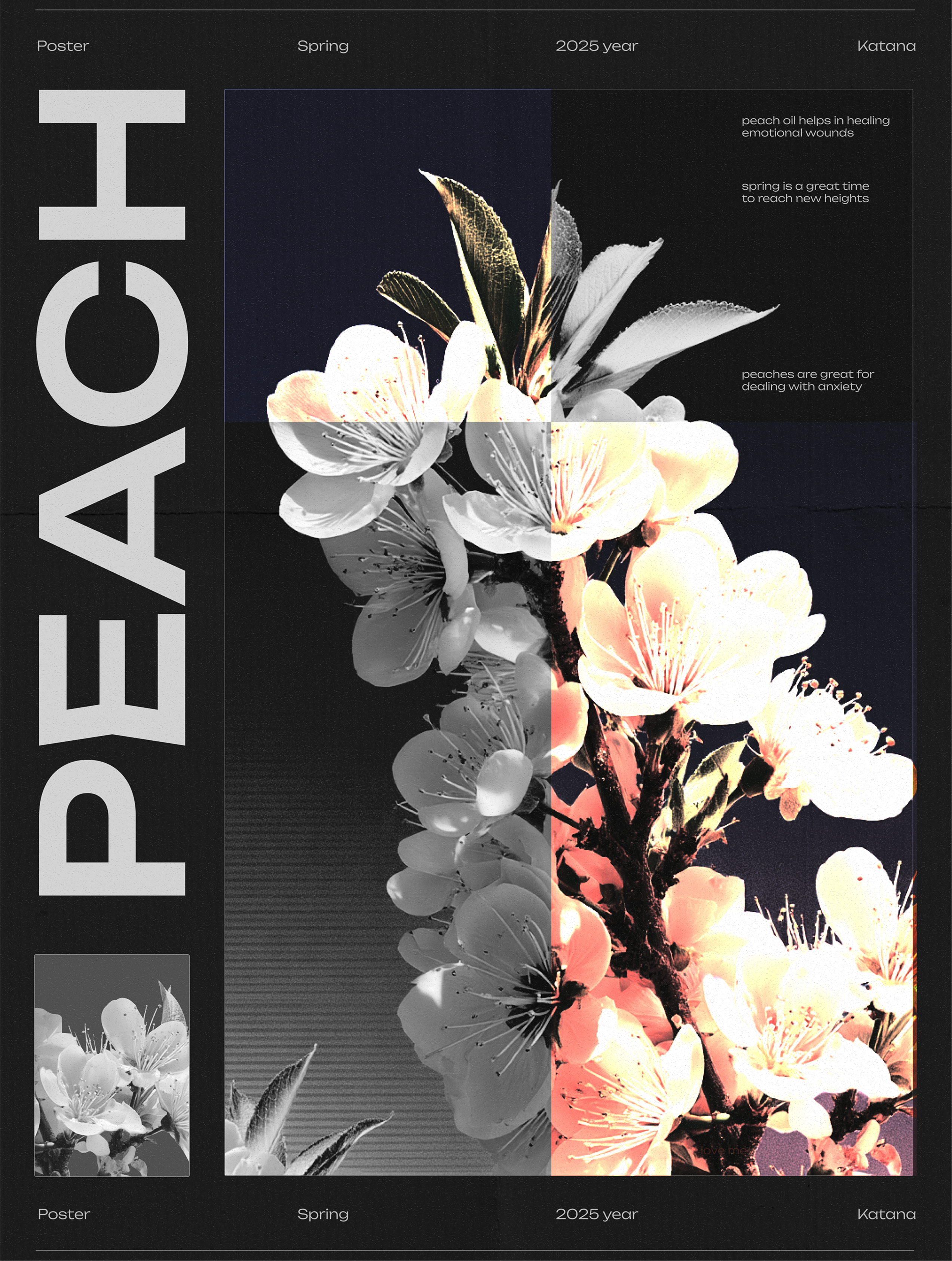 Peach Blossom Spring 2025 Poster