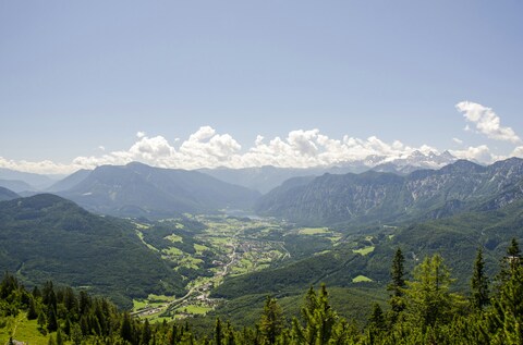 Alpine Mountain Valley View