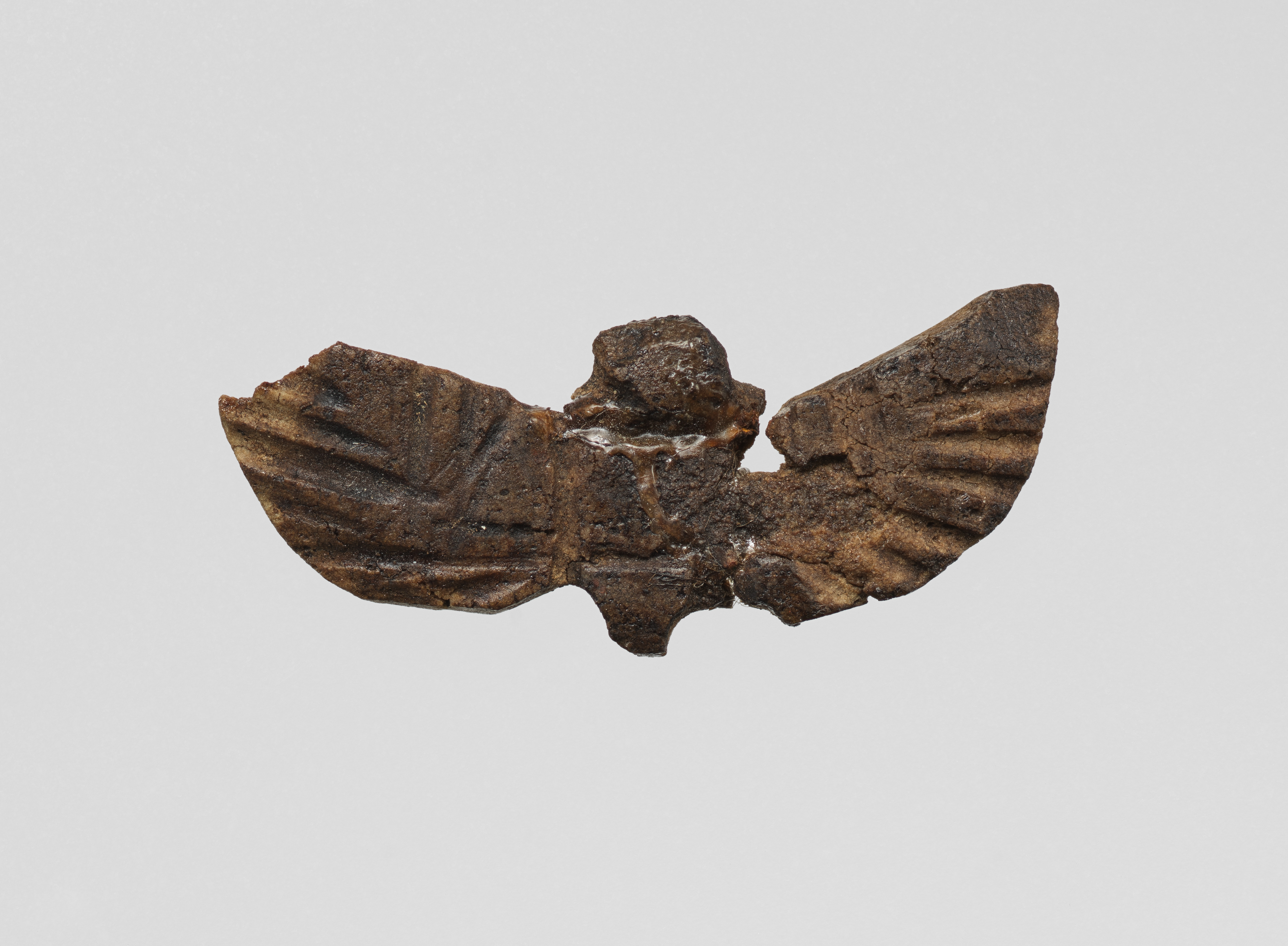 Fragmented Winged Ancient Artifact