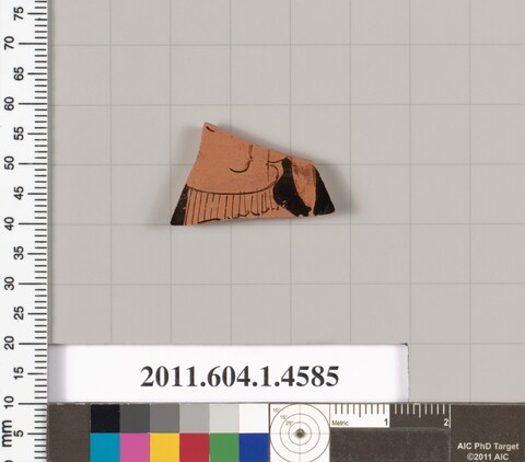 Painted Pottery Fragment Specimen