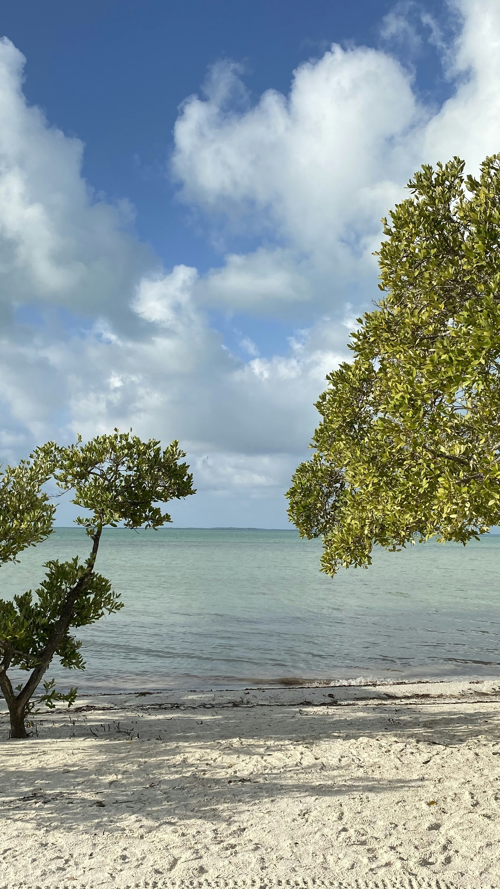 Tranquil Tropical Beach View