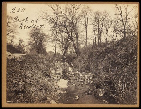 Brook at Newlyn