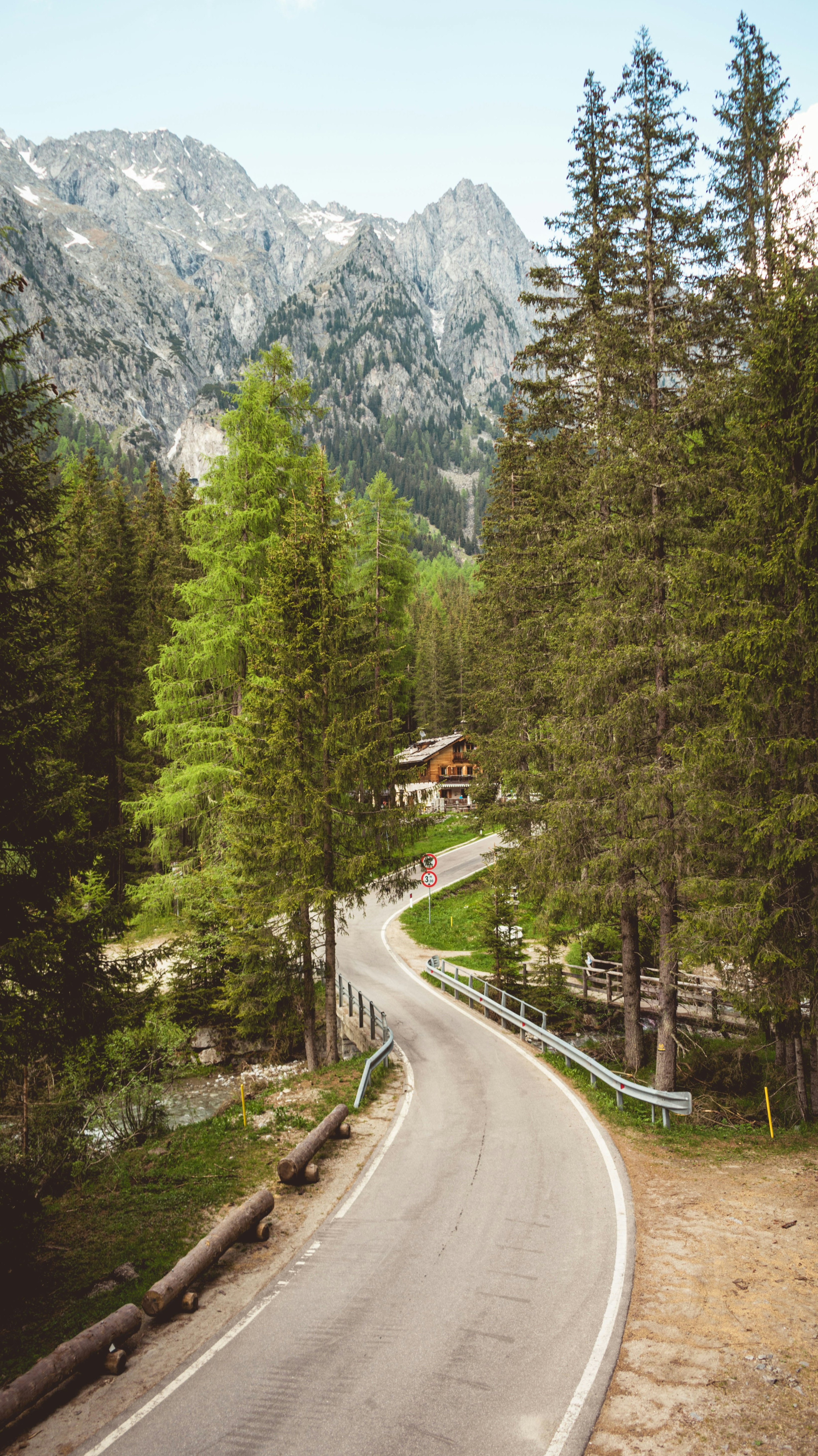 Winding Road through Alpine Mountain Forest