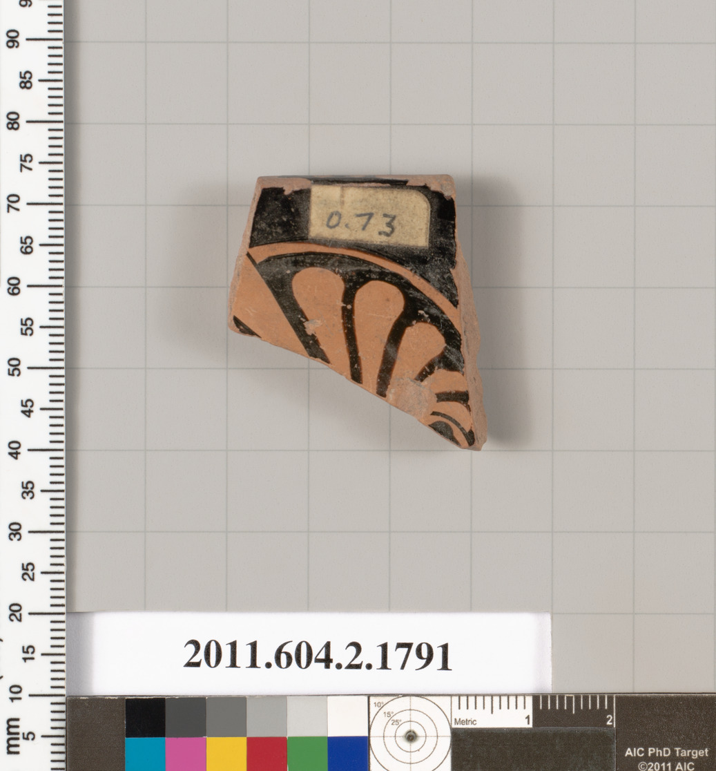 Cataloged Terracotta Pottery Shard