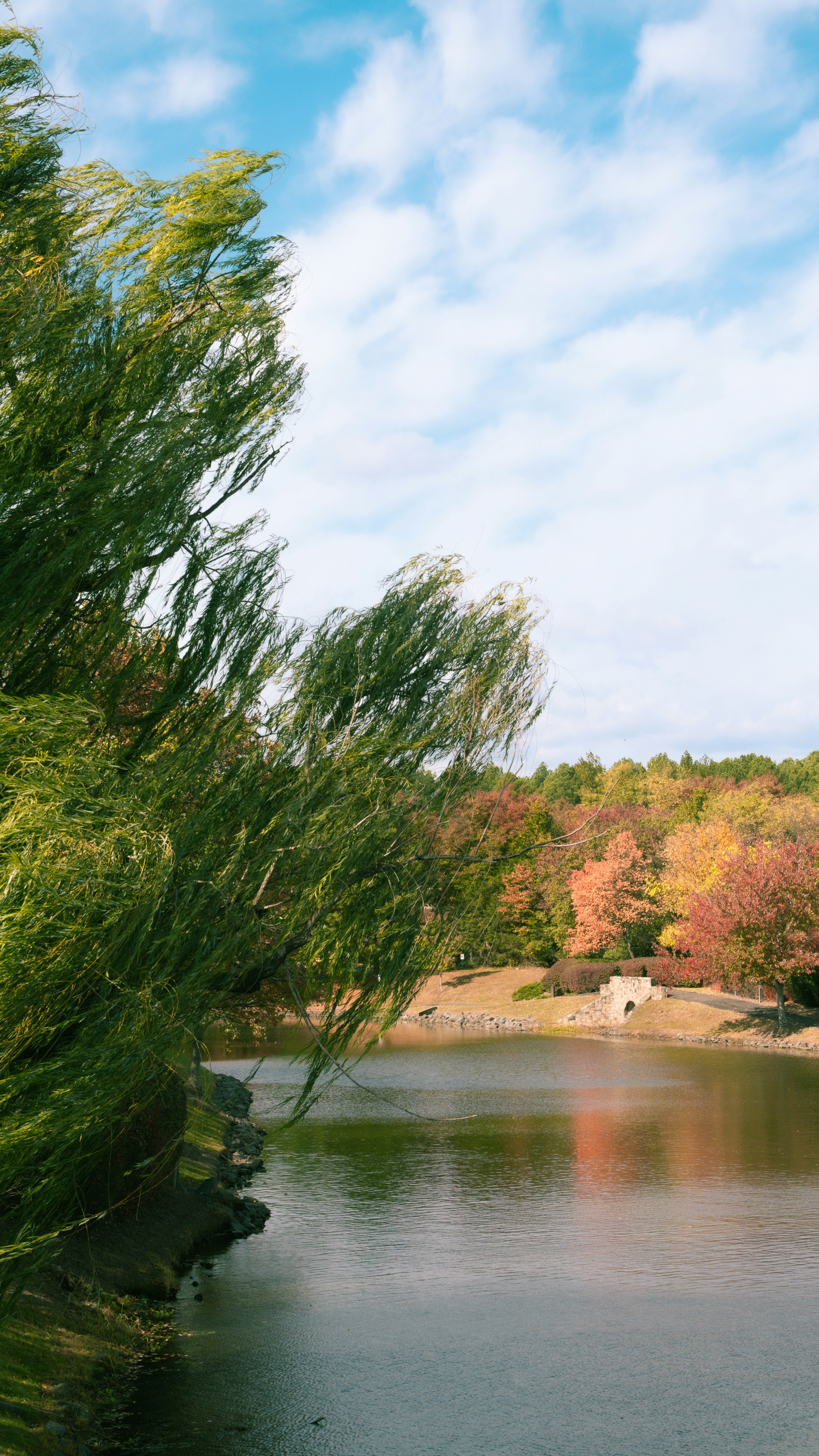 Autumn Lake Landscape
