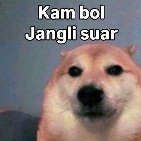 Cheems Meme with Hindi Text