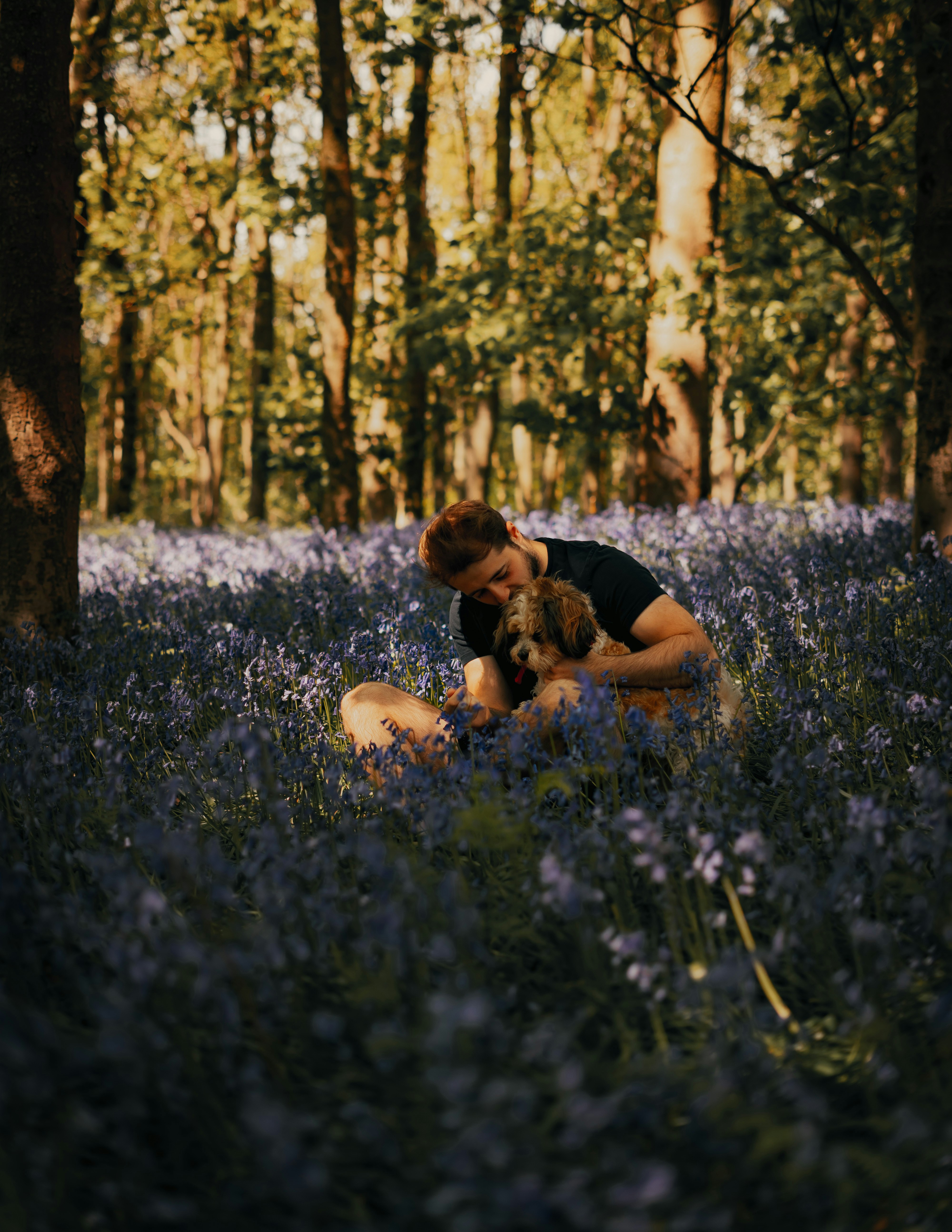 Man And Dog In Bluebell Forest