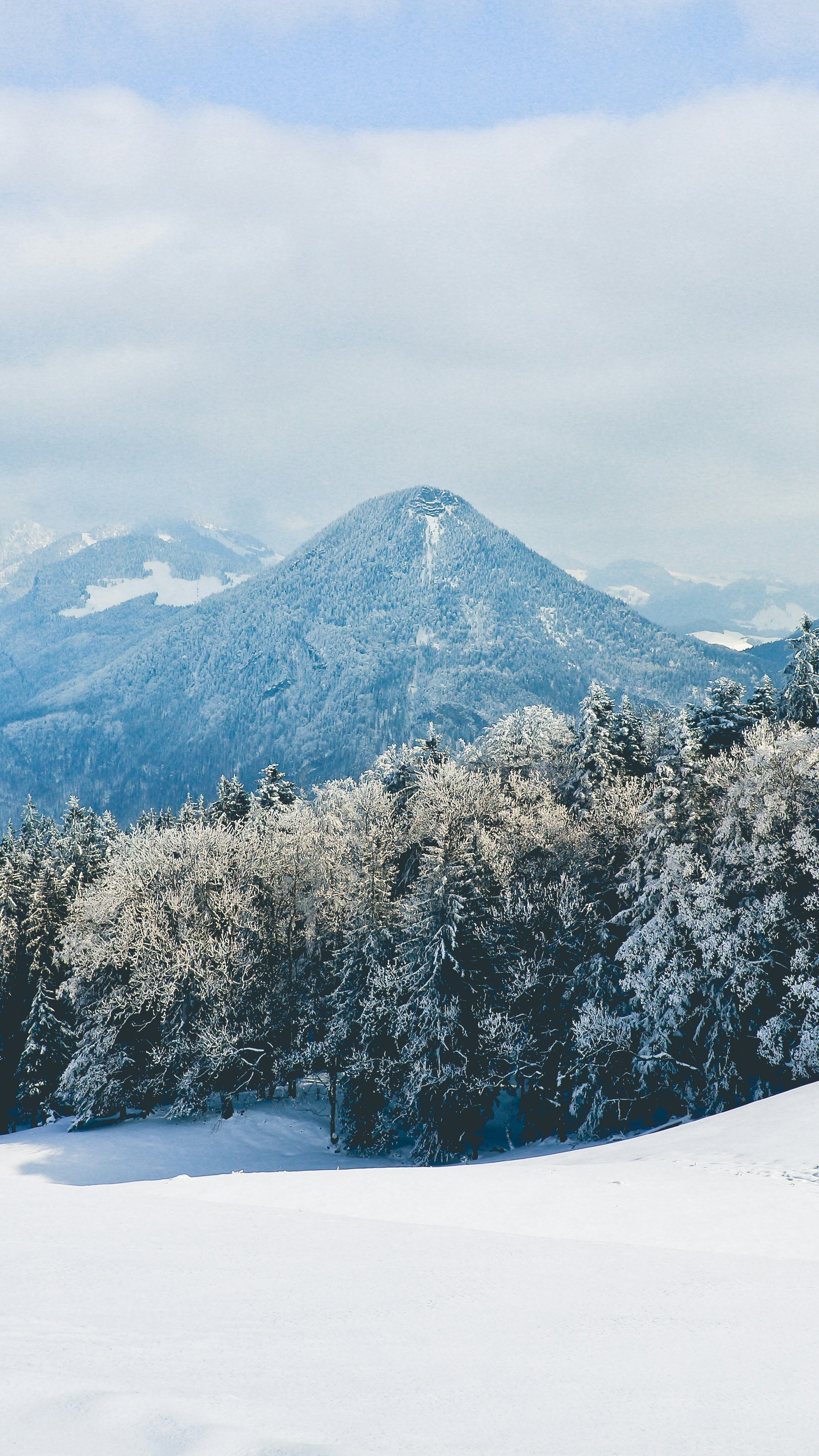 Wallpapers