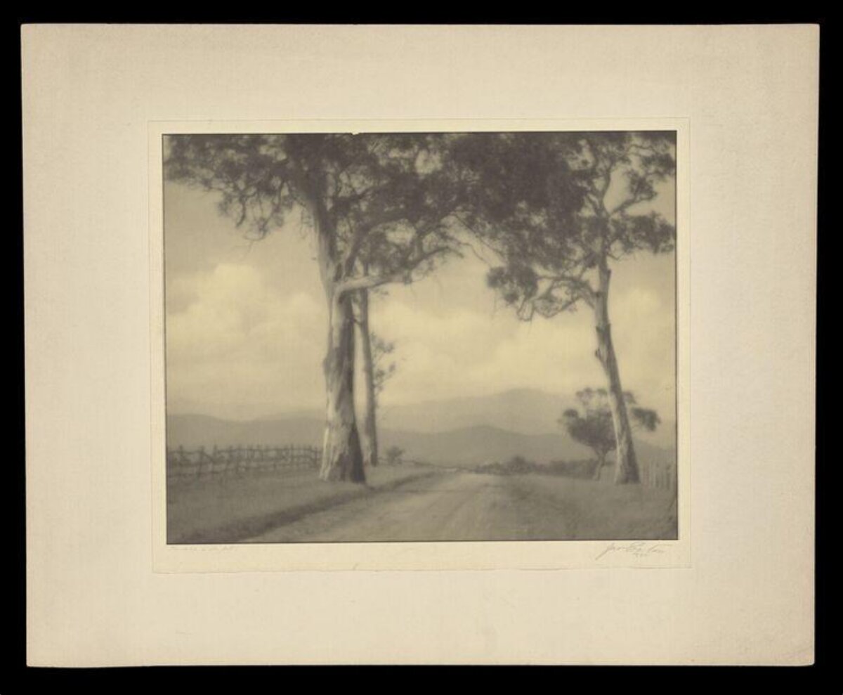 Vintage Rural Road Landscape