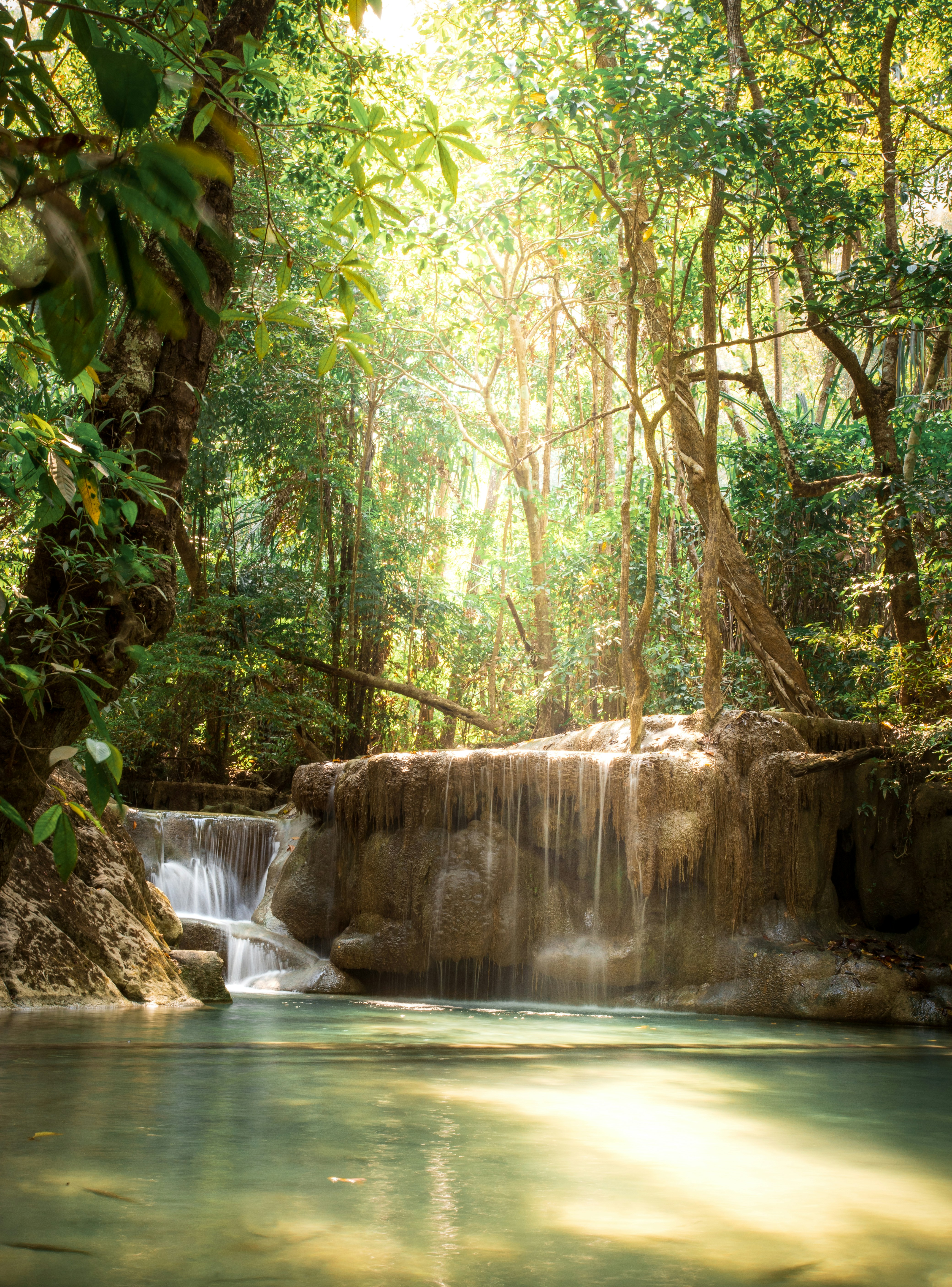 Sunlit Forest Waterfall