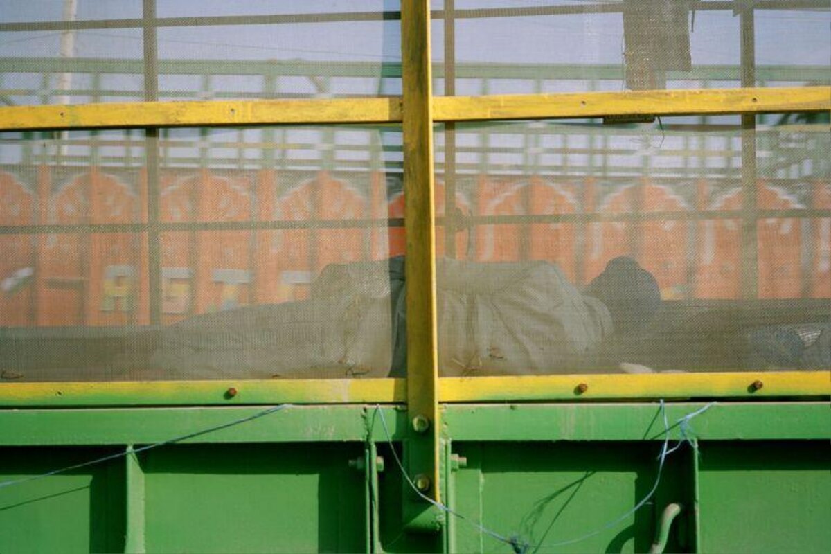 Worker Resting in Caged Farm Trailer
