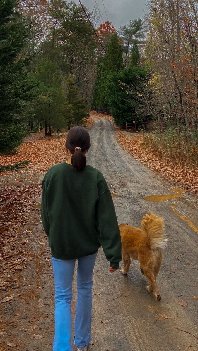 Image 71322 — Pets