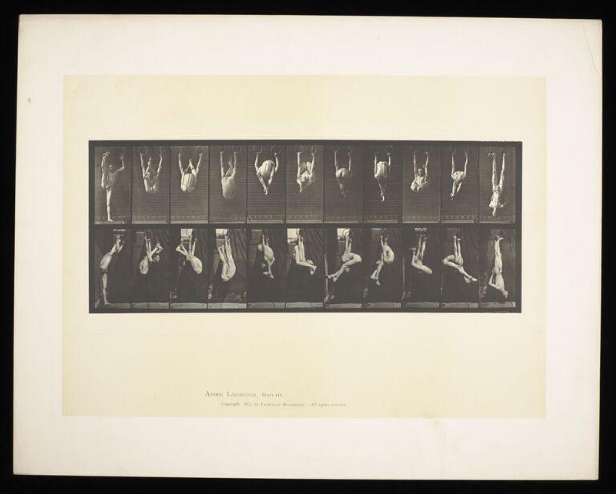 Motion Sequence of Man on Gymnastic Rings