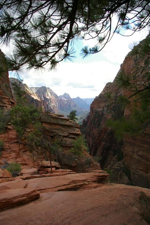 Zion Canyon Hiking Trail View