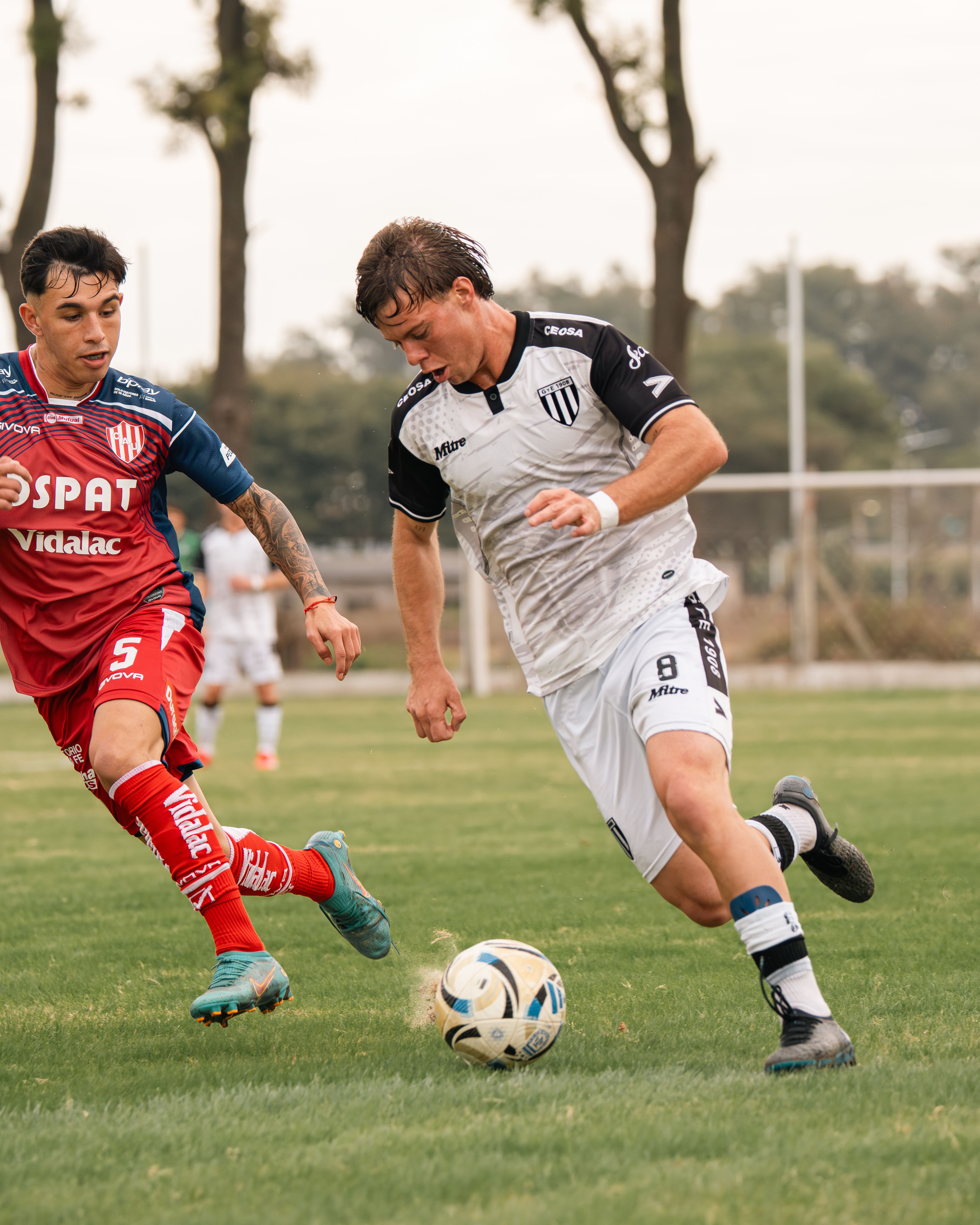 Image 1624083 — Sports