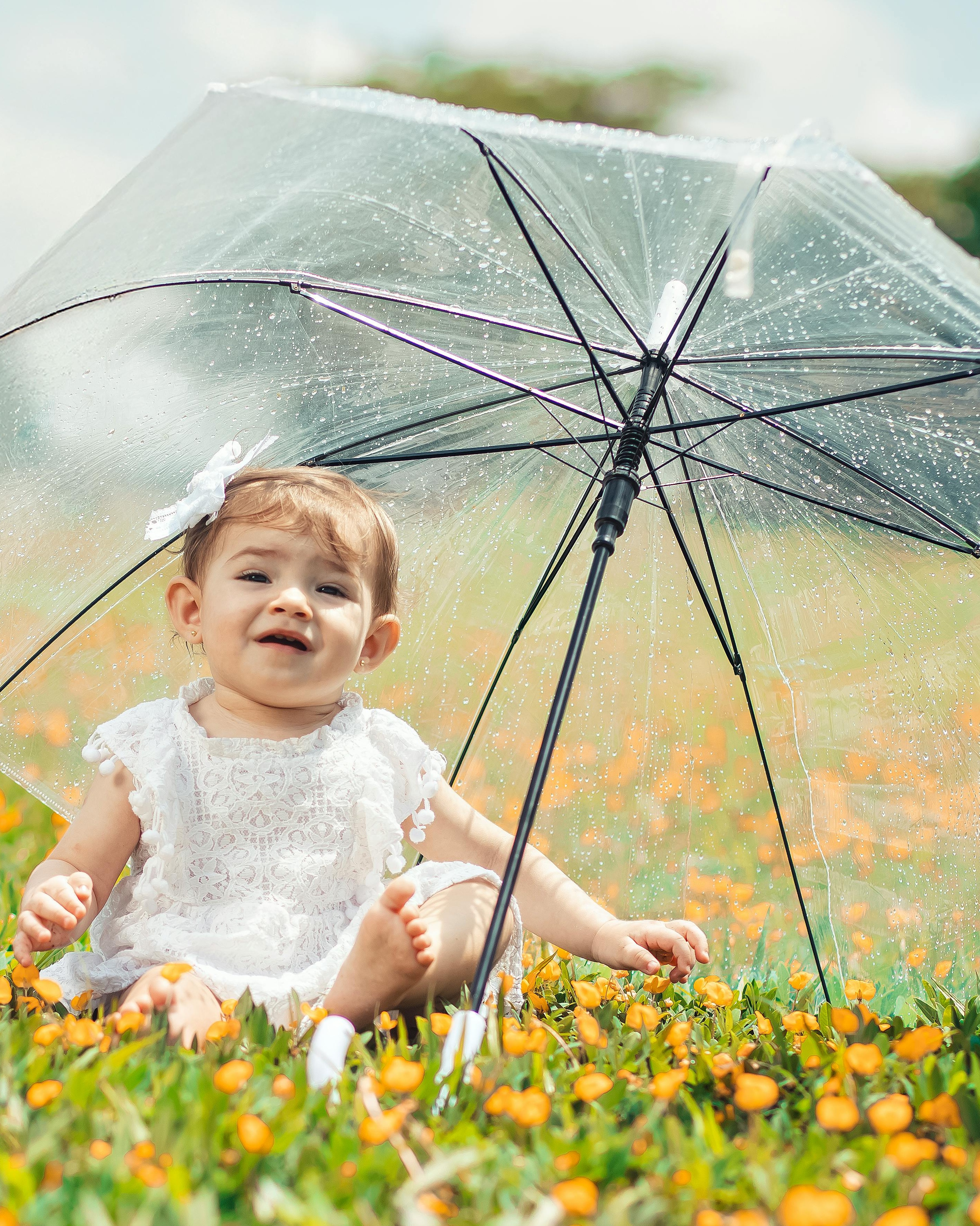 Baby Under Clear Umbrella in Flower Field