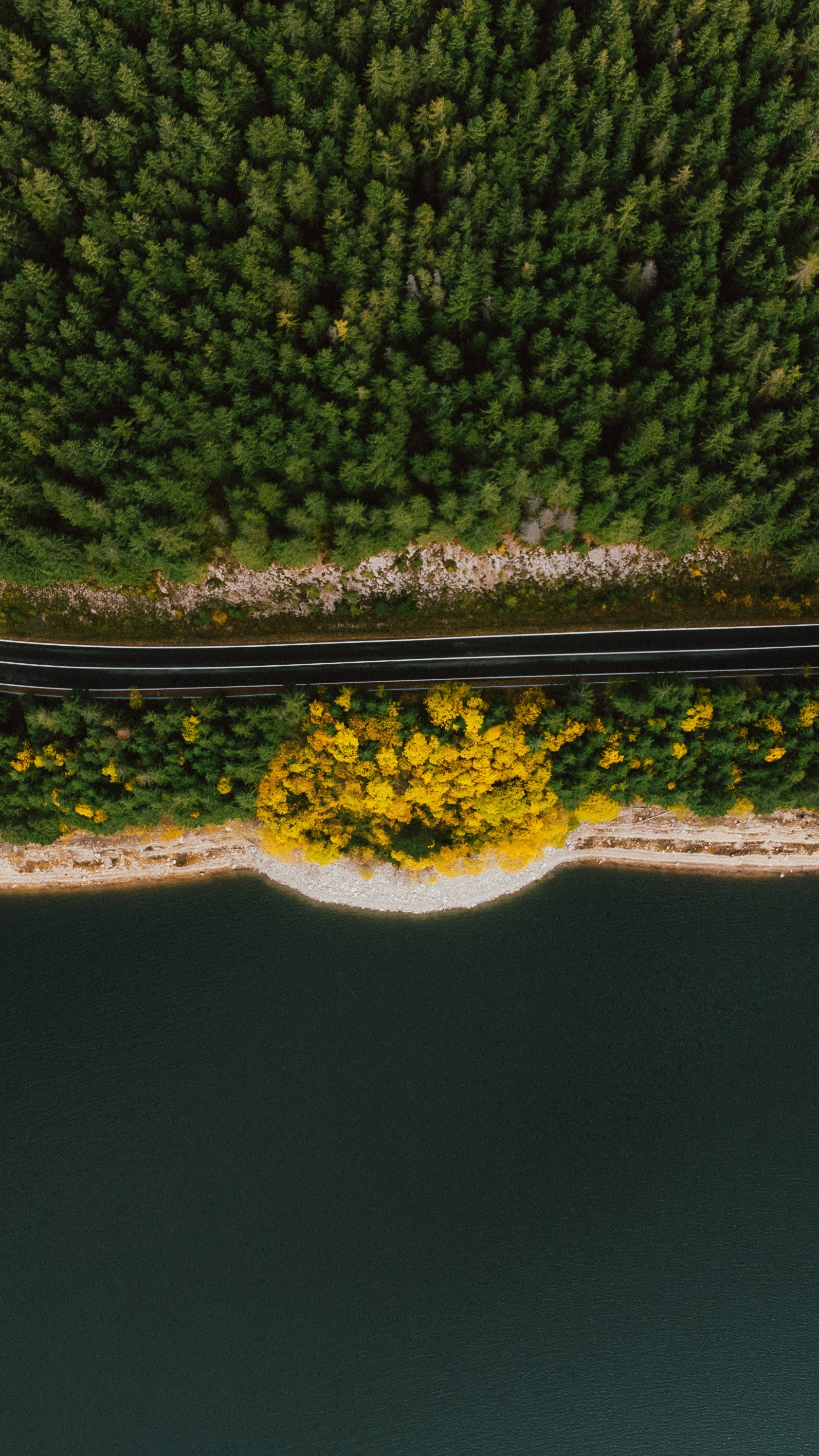 Wallpapers