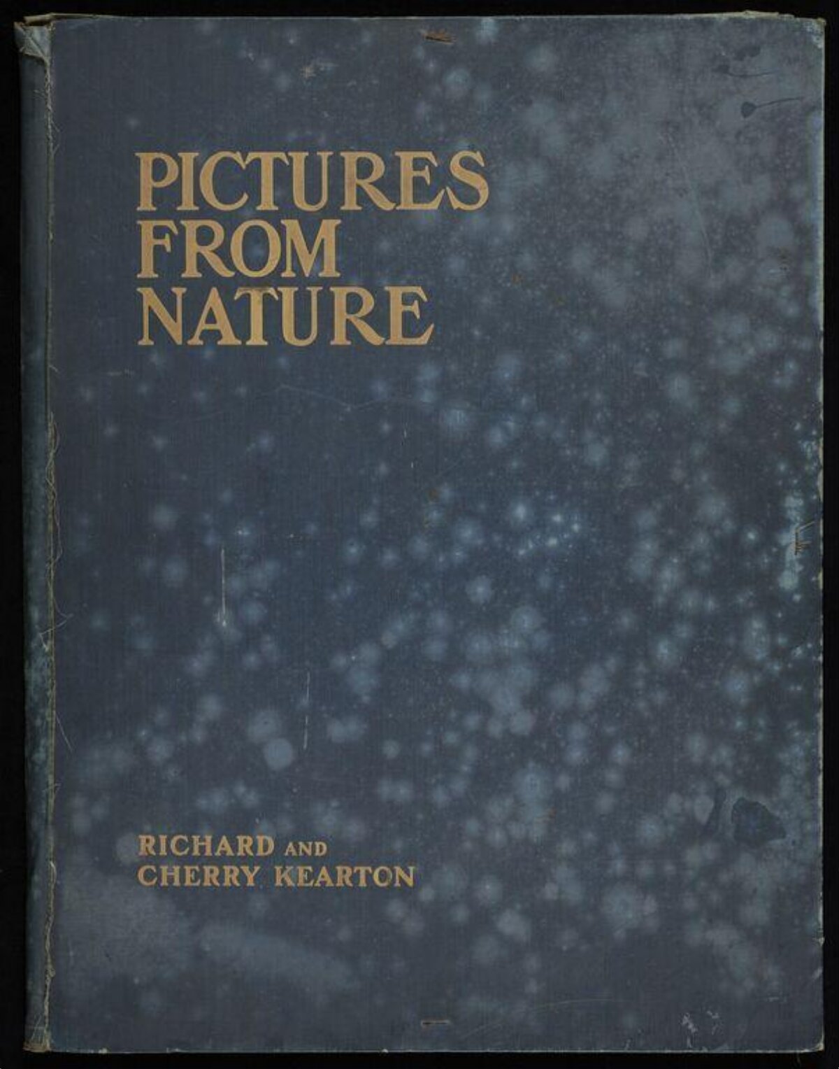 Pictures from Nature Book Cover