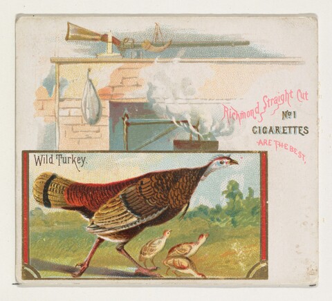 Vintage Wild Turkey Cigarette Ad Card